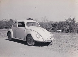 My Beetle
